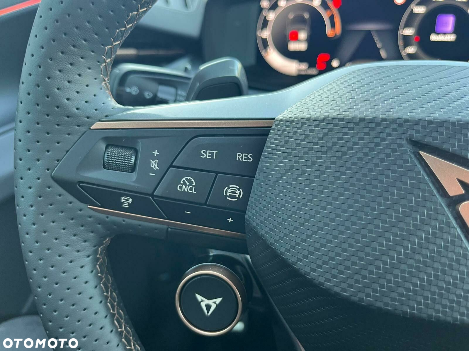 Cupra Terramar - 15