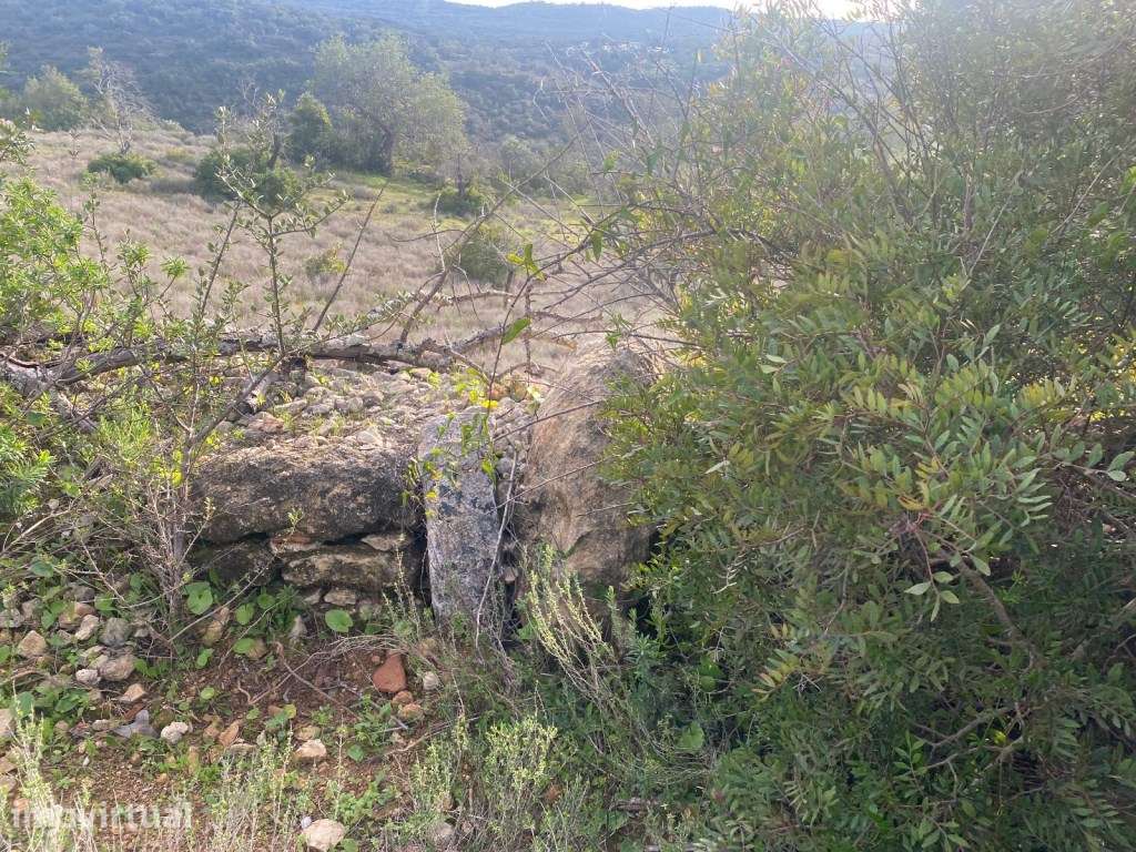 Terreno rústico com 3300m2, Loulé, Algarve - Grande imagem: 4/14