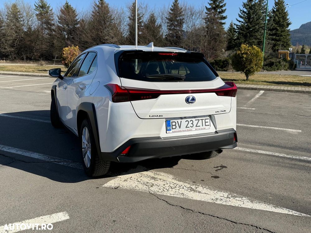 Lexus UX 250h Business Edition - 8