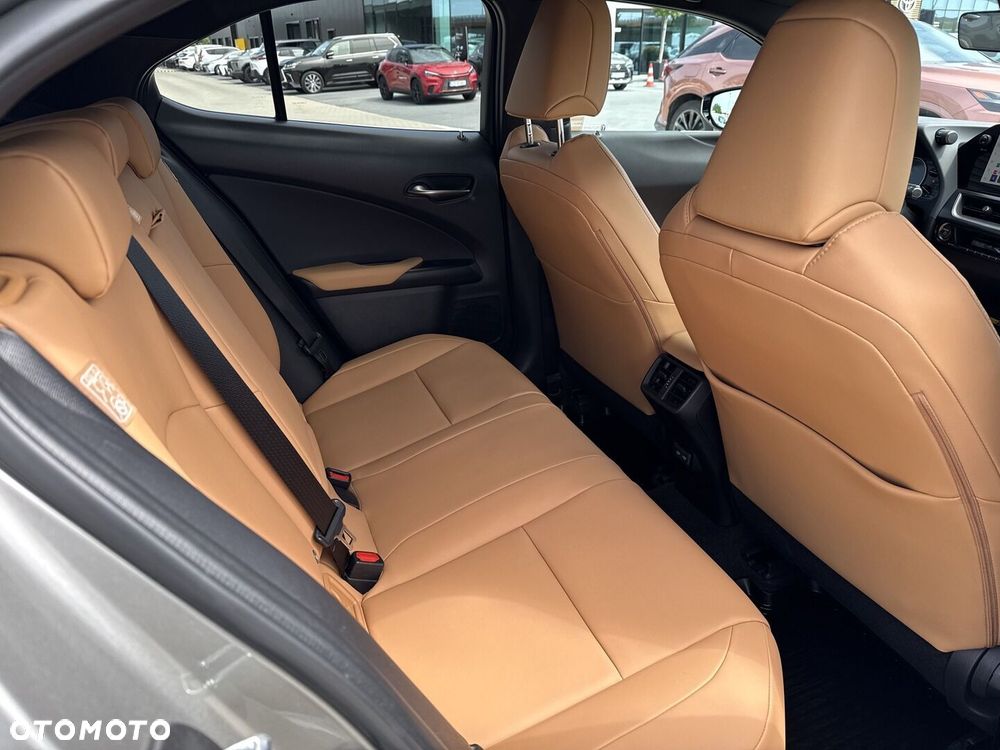 Lexus UX 250h GPF F Sport Design 2WD - 14