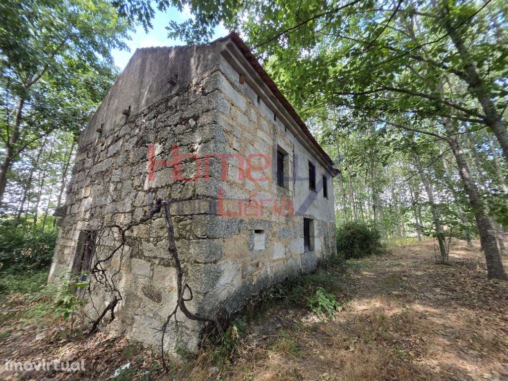 Quinta com casa para venda em Germil, Penalva do Castelo - Grande imagem: 5/60