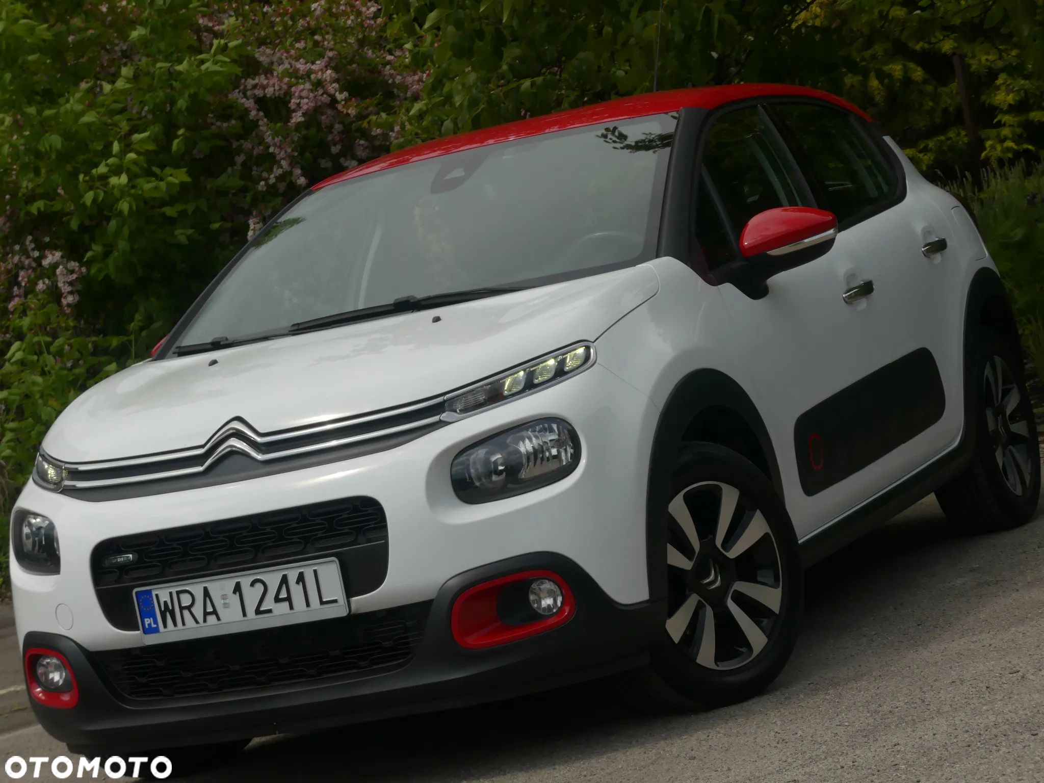 Citroën C3 Pure Tech 82 SHINE - 1