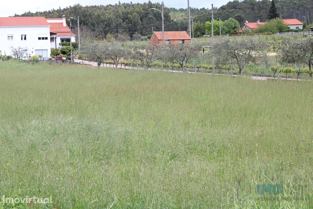 Lote de Terreno - Grande imagem: 3/24