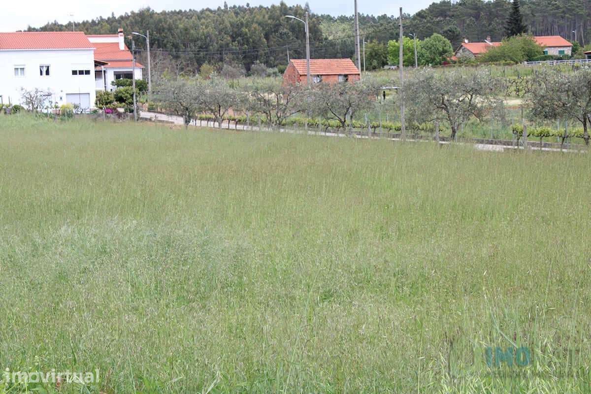 Lote de Terreno - Grande imagem: 3/24
