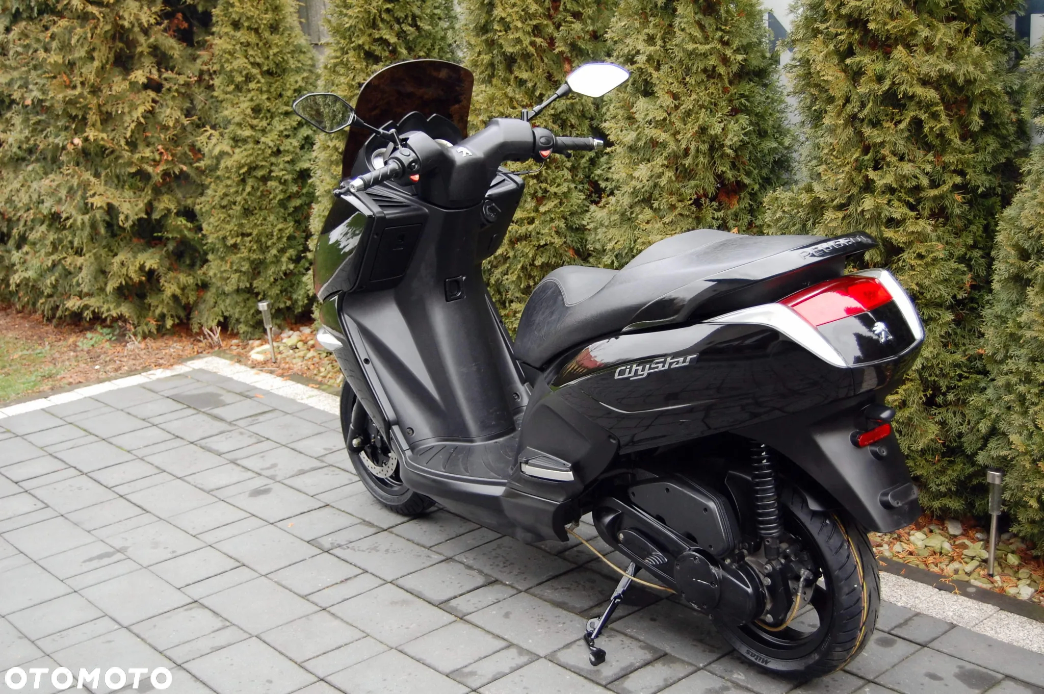 Peugeot Citystar - 6