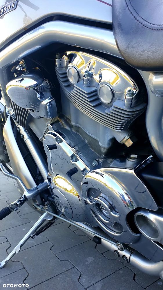 Harley-Davidson Softail V-Rod - 16