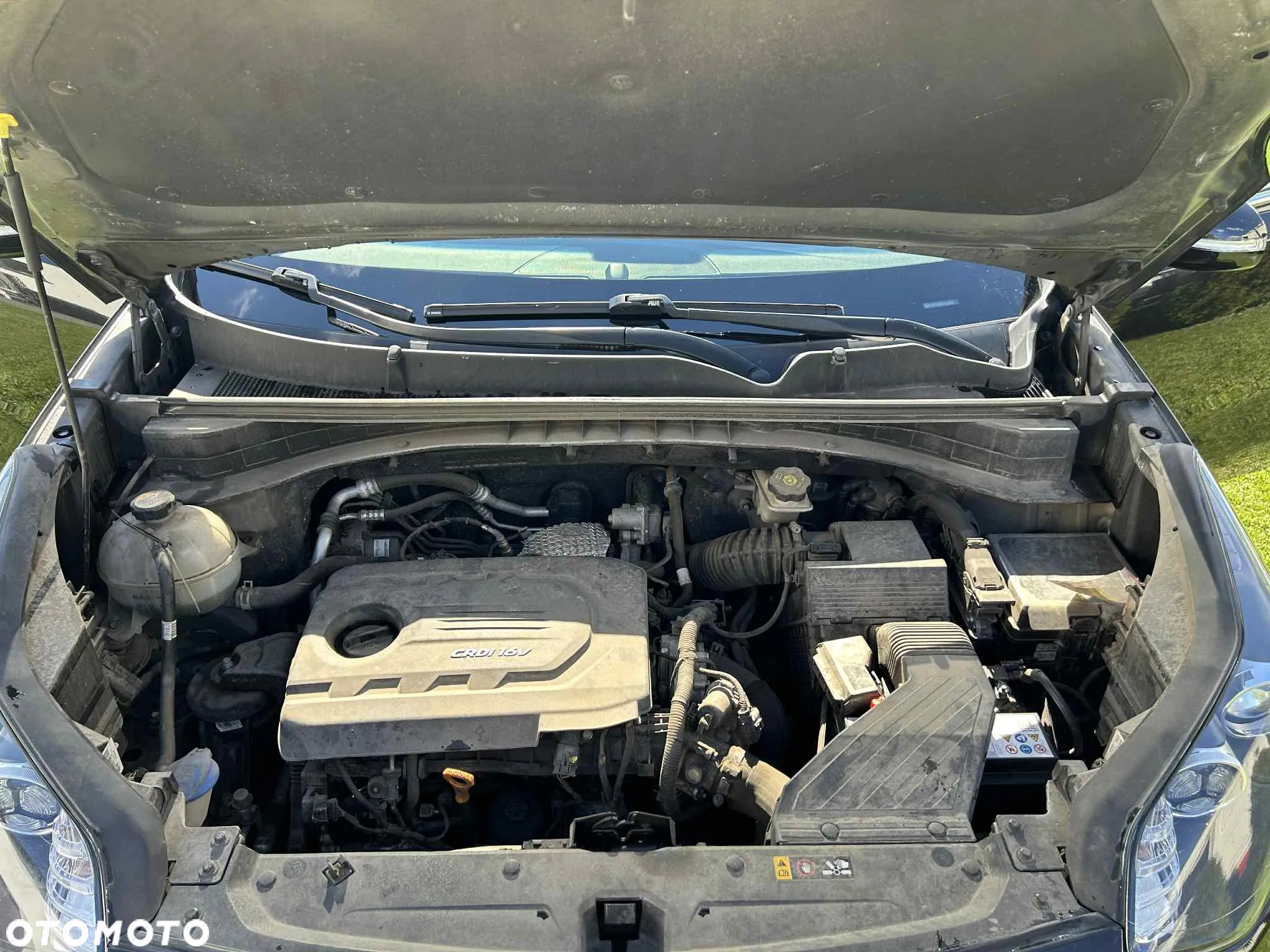 Kia Sportage - 16
