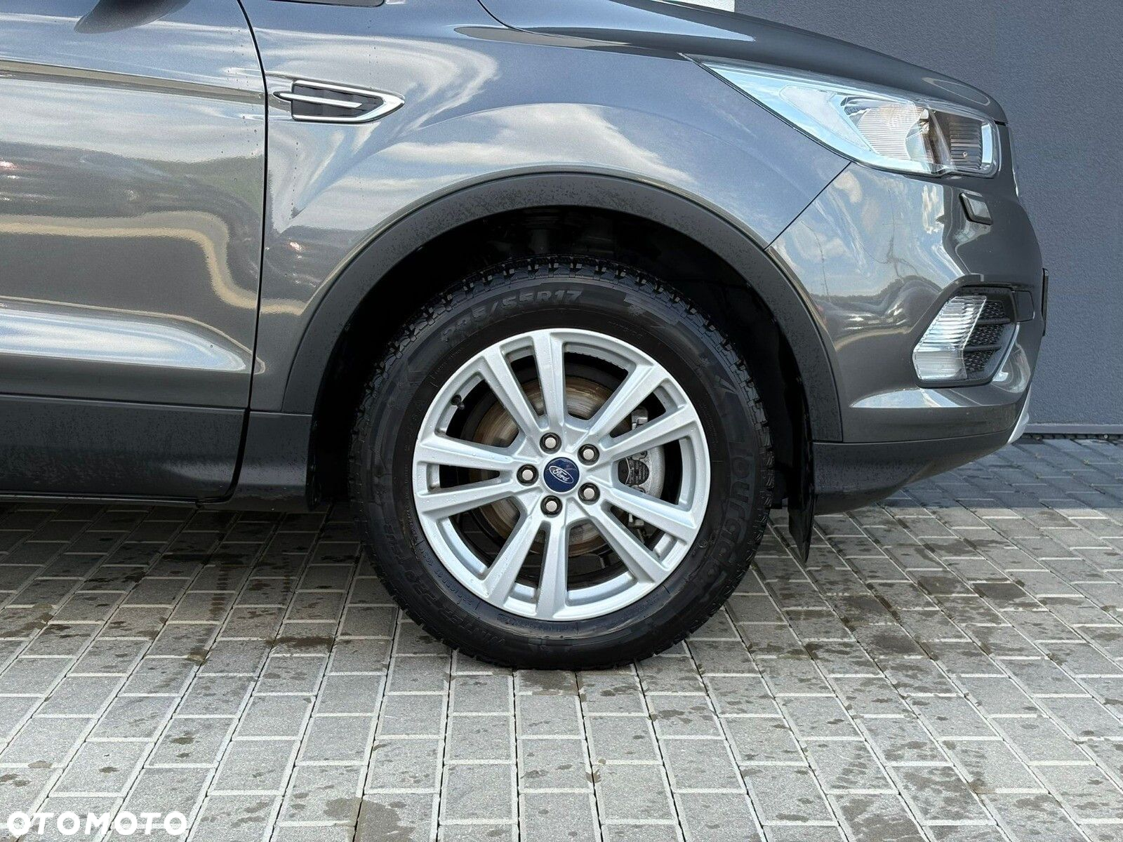 Ford Kuga 1.5 EcoBoost FWD Titanium ASS - 19