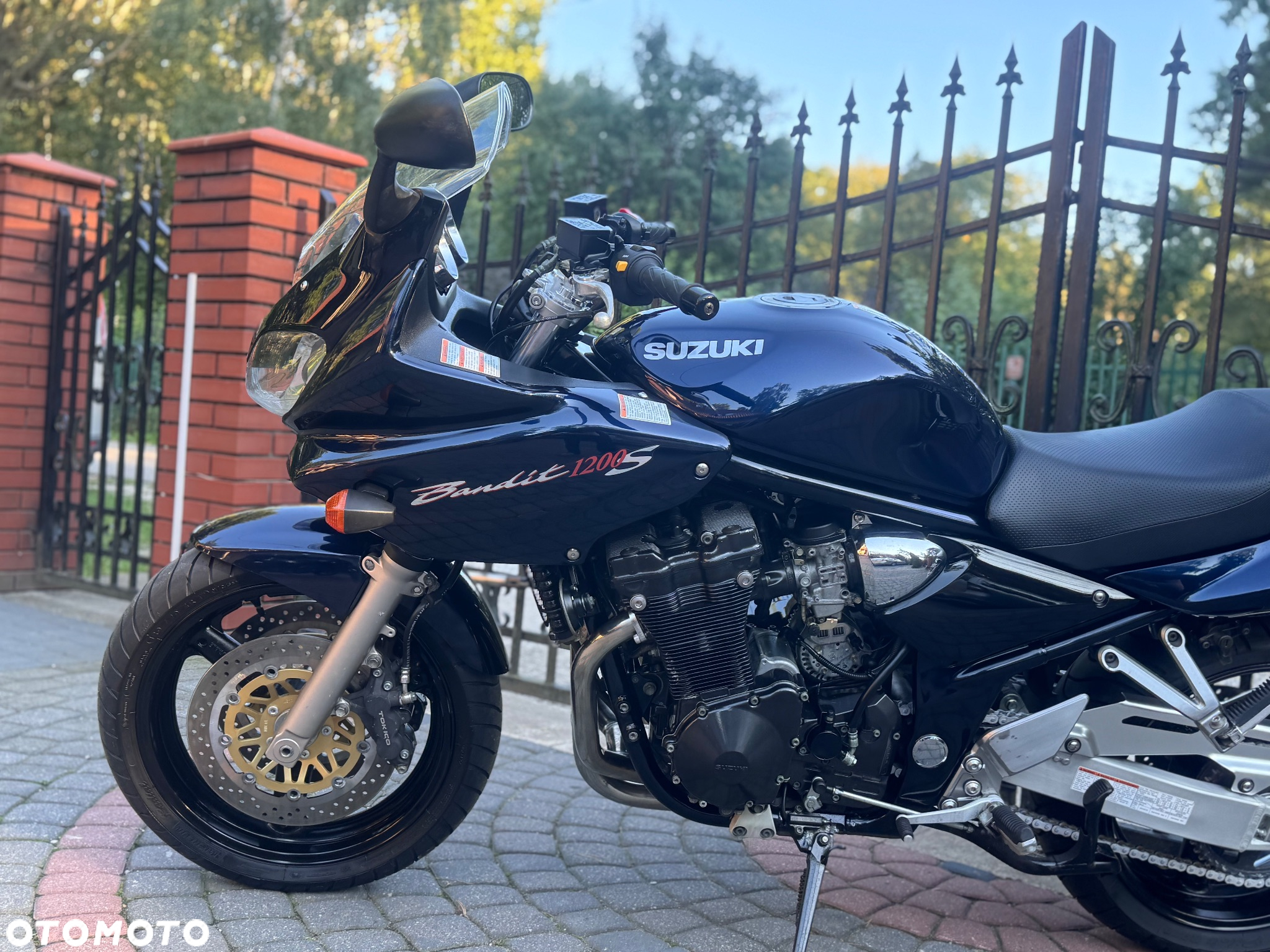 Suzuki Bandit - 19