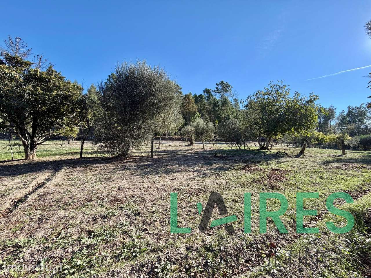 Terreno, 28 000 m², Real - Grande imagem: 4/11