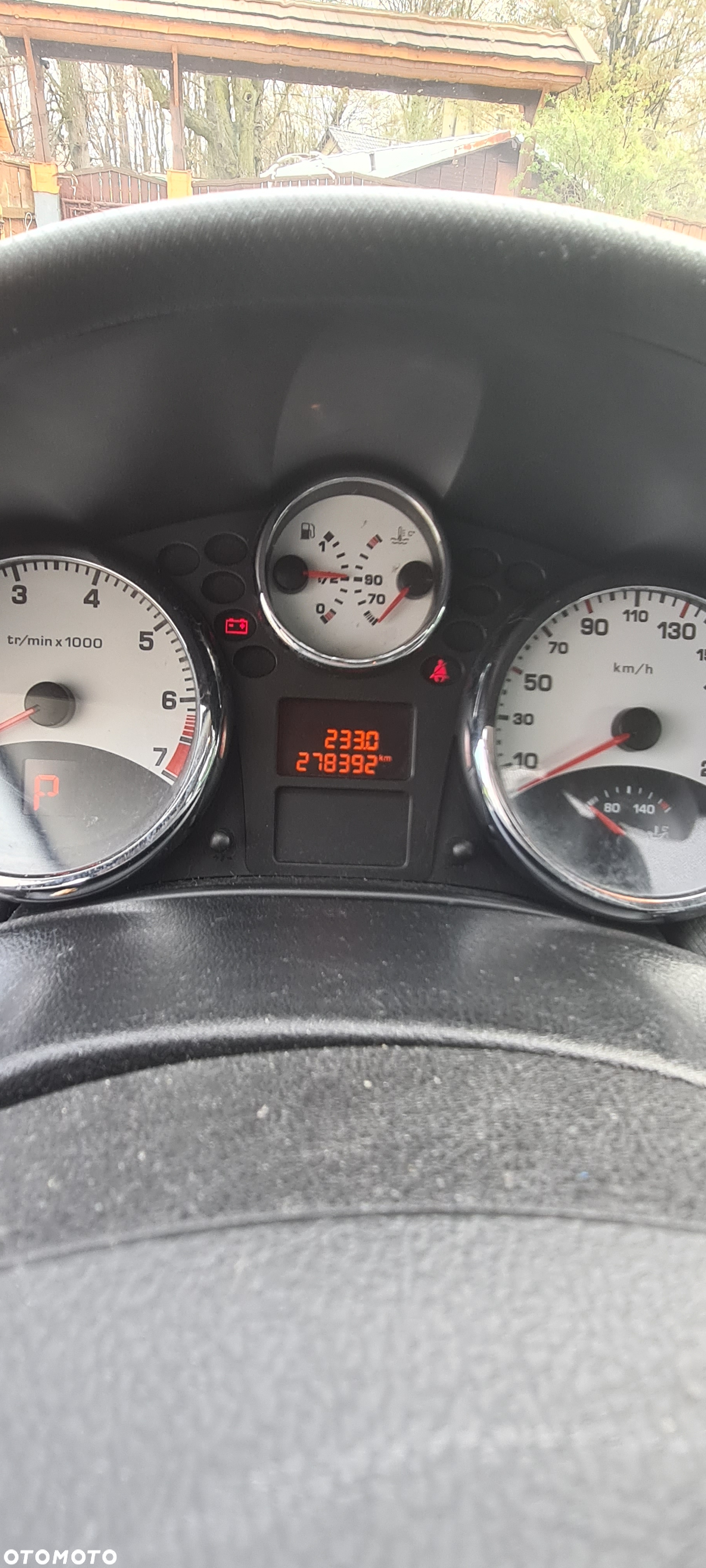 Peugeot 207 - 12