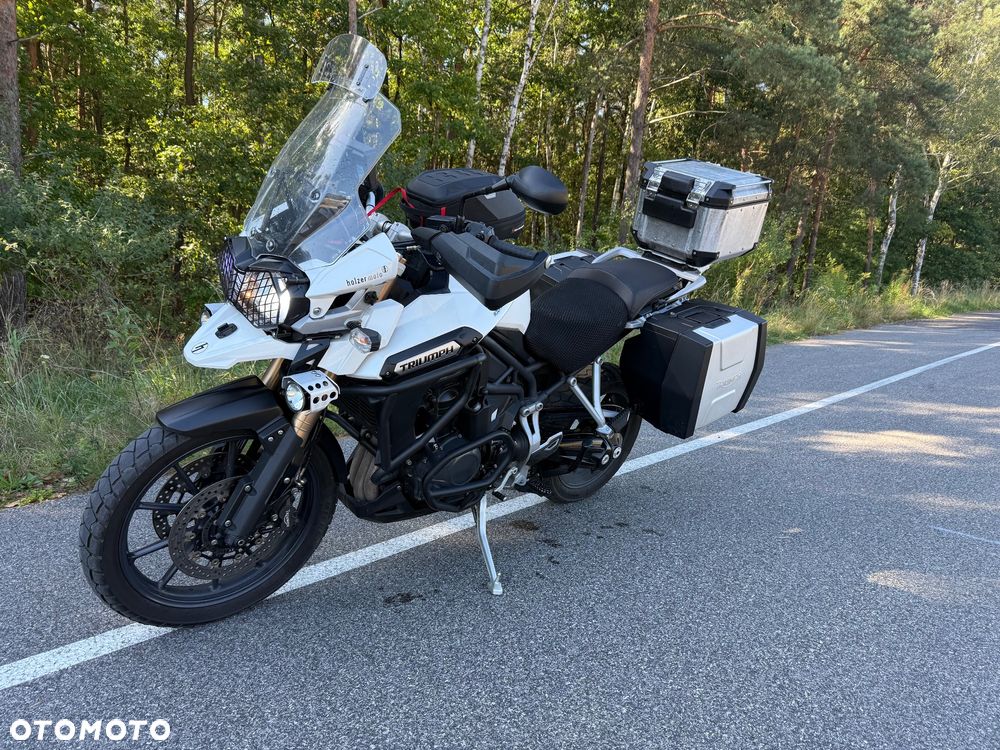Triumph Tiger - 10