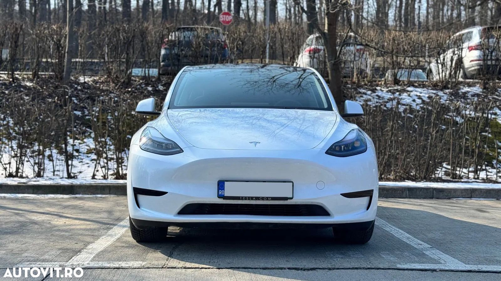 Tesla Model Y - 1