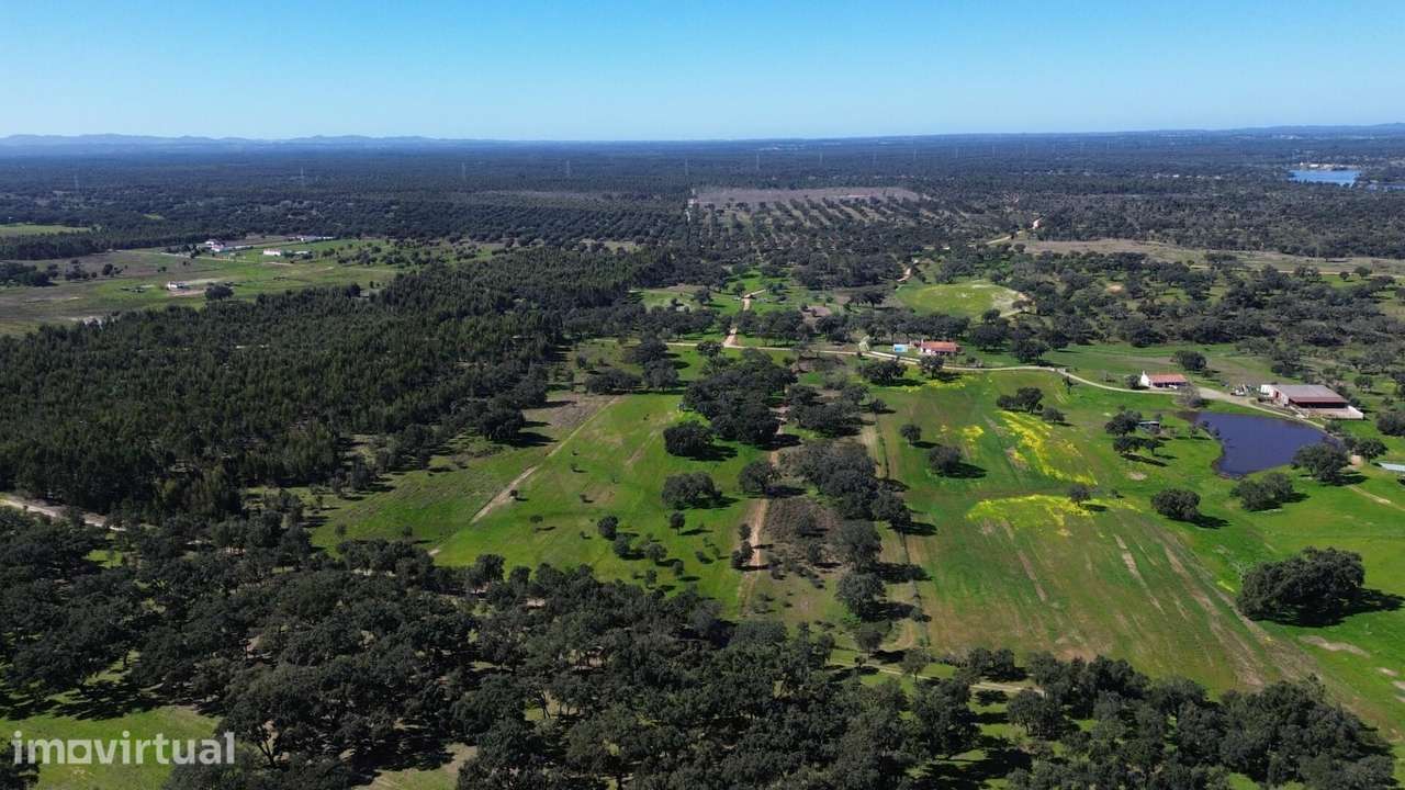 Terreno Rústico com 1,8 Hectares e Rendimento de Sobro – Próximo da Ba - Grande imagem: 5/16