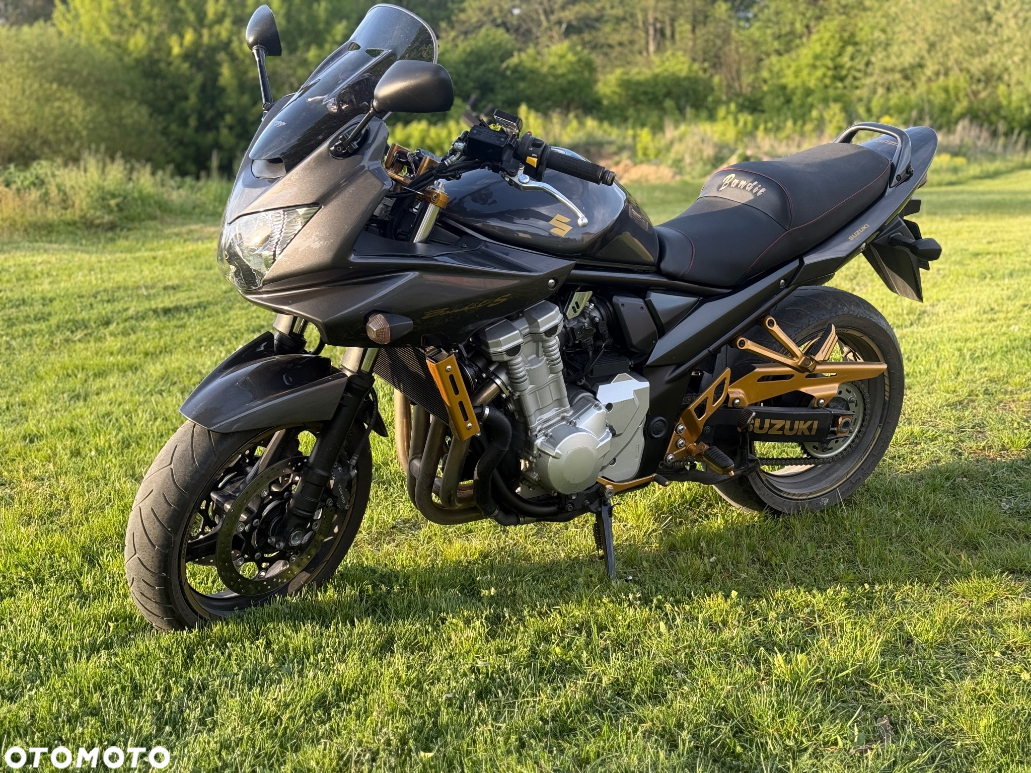 Suzuki Bandit - 2