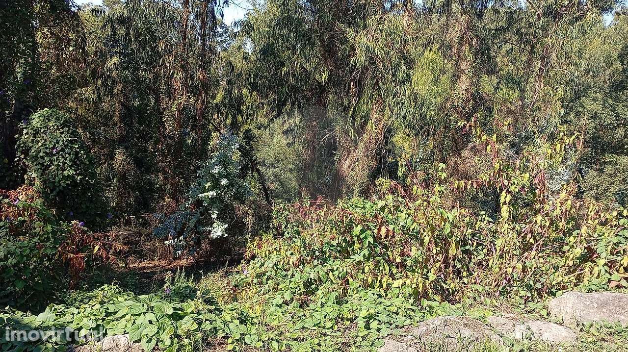 Terreno  para venda - Grande imagem: 4/4