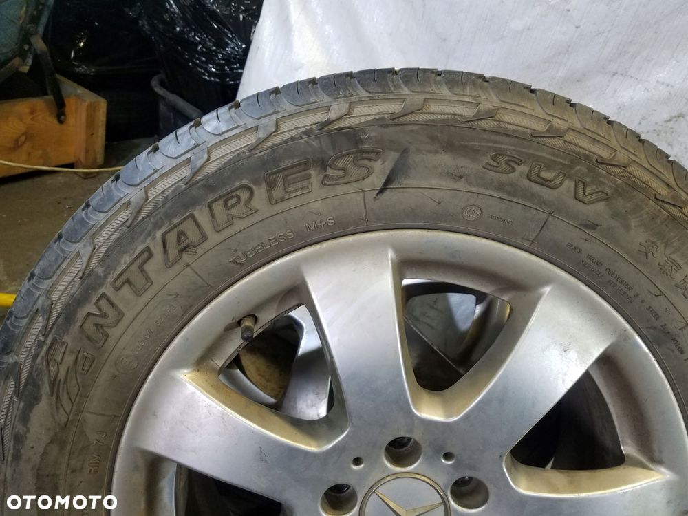 opona opony letnie antares majoris r1 235/65 r17 104h - 4