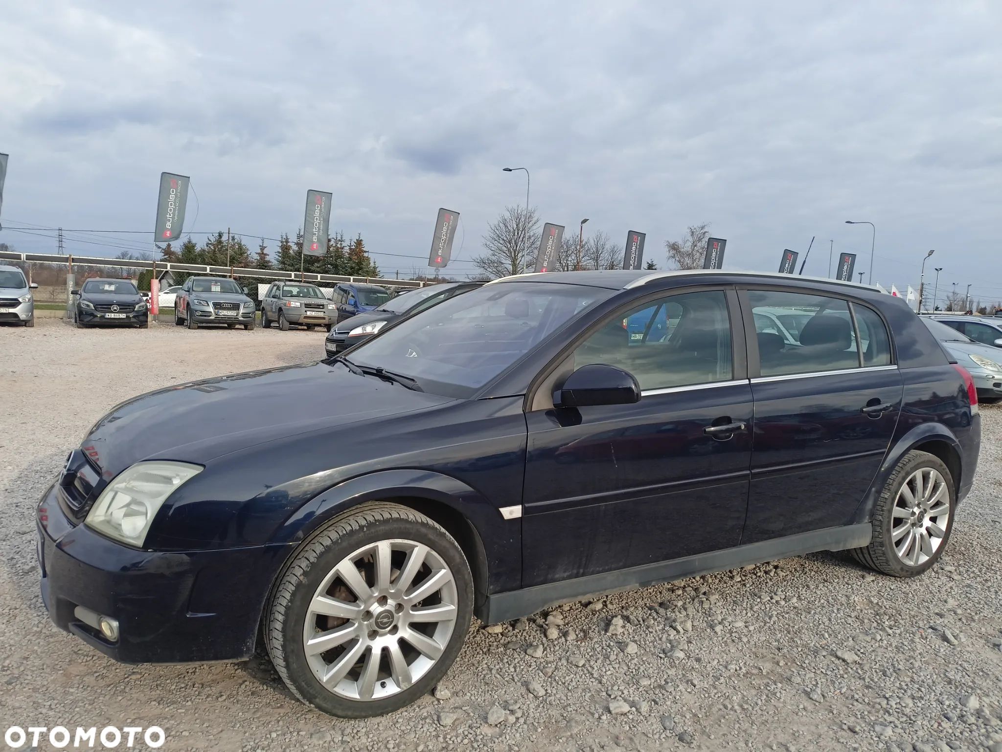 Opel Signum - 1