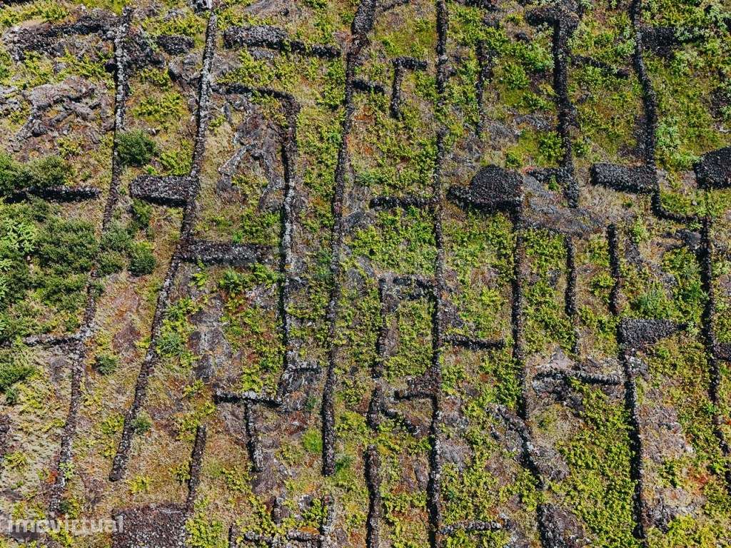 Terreno exclusivo com autenticidade, vista mar e montanha - ilha do... - Grande imagem: 4/19