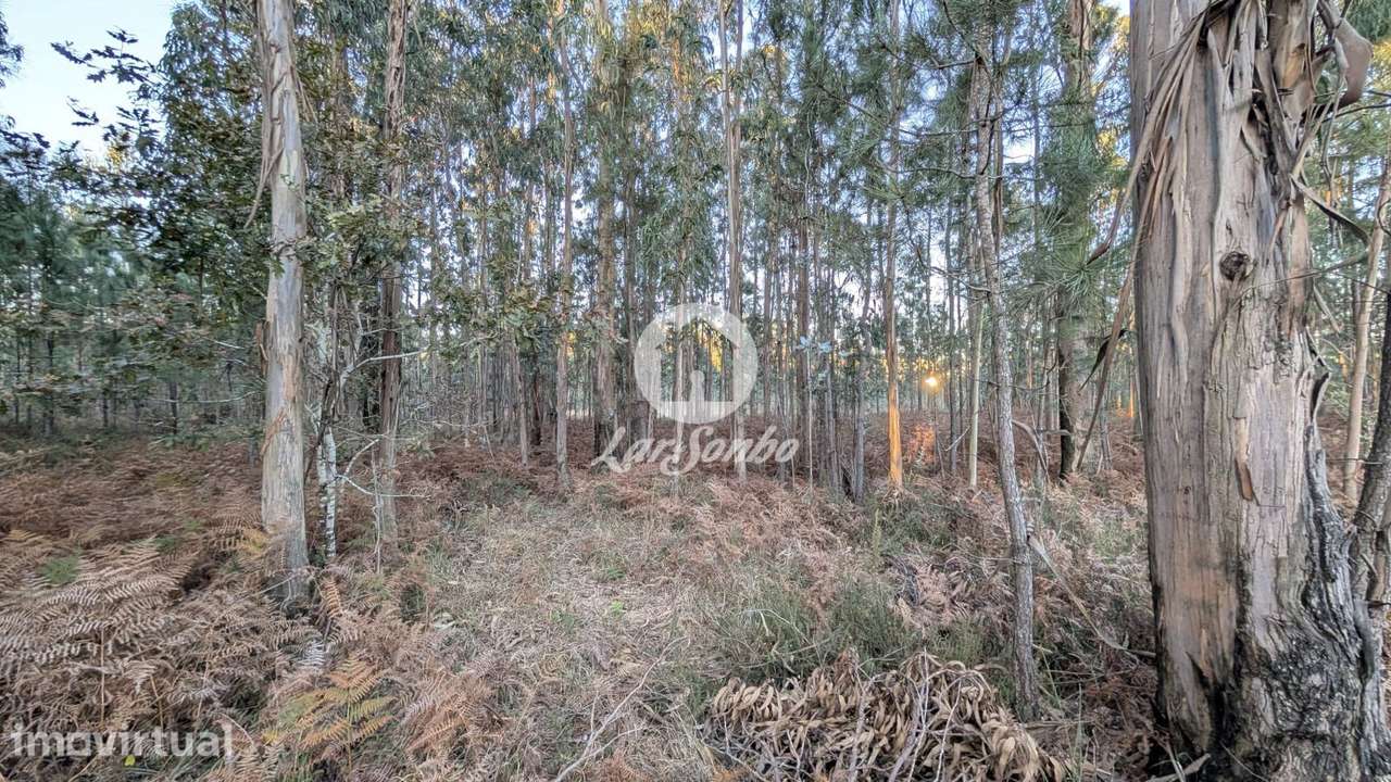 Terreno industrial com 4.177m2 em Laúndos - Grande imagem: 3/6