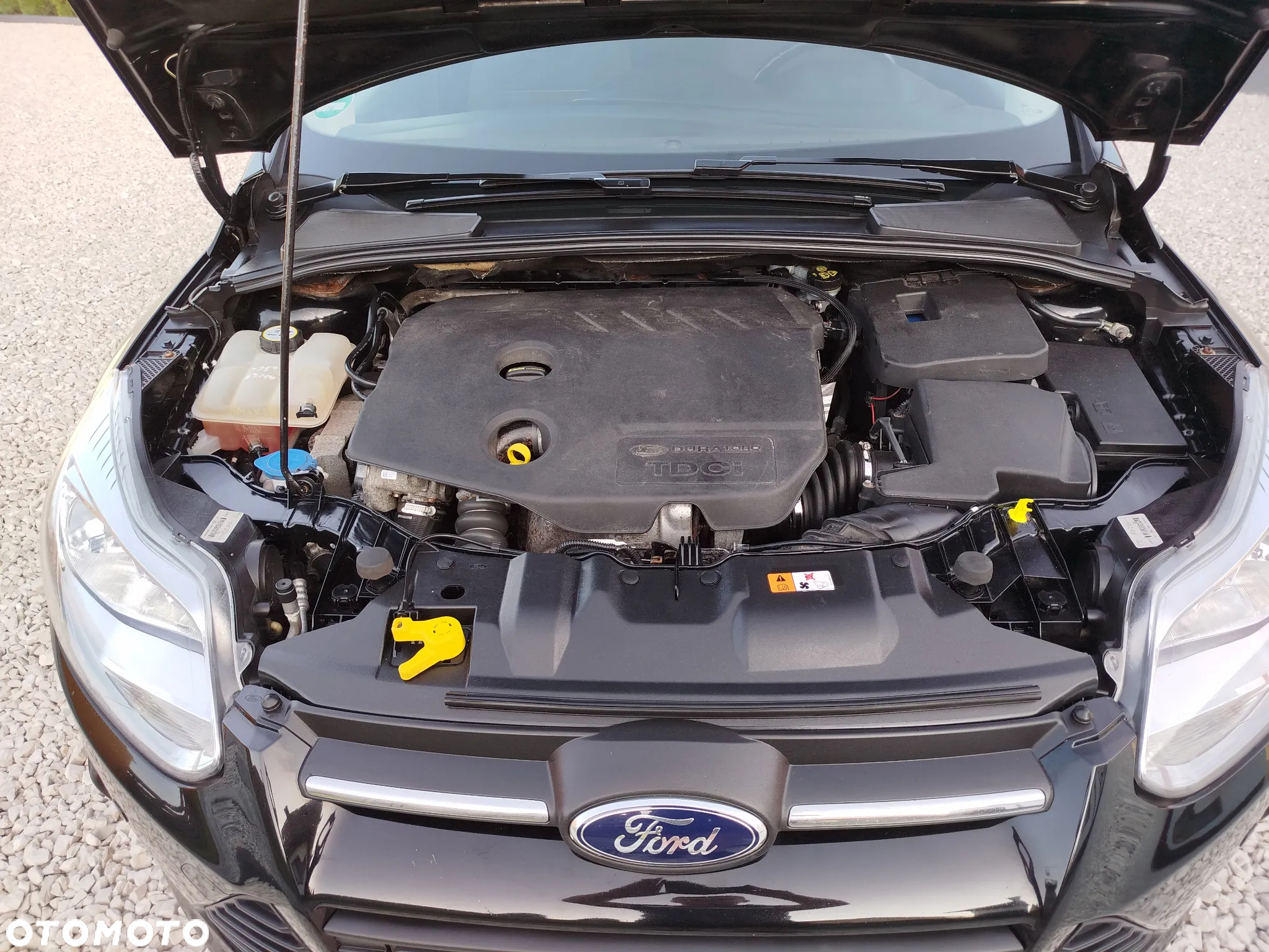 Ford Focus 1.6 TDCi DPF Titanium - 24