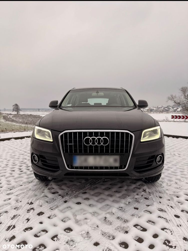 Audi Q5 - 2