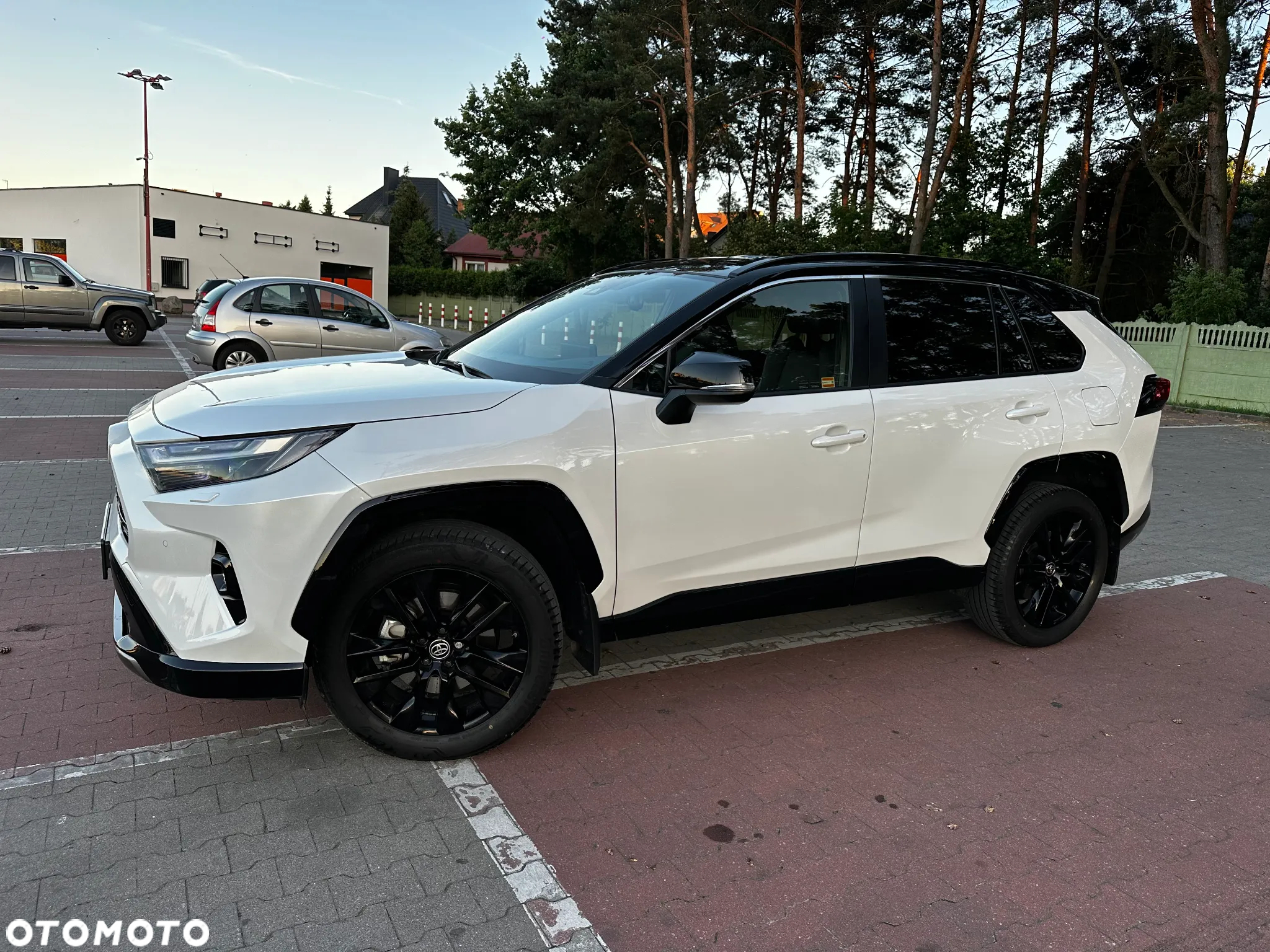 Toyota RAV4 2.5 Hybrid Selection 4x2 - 5