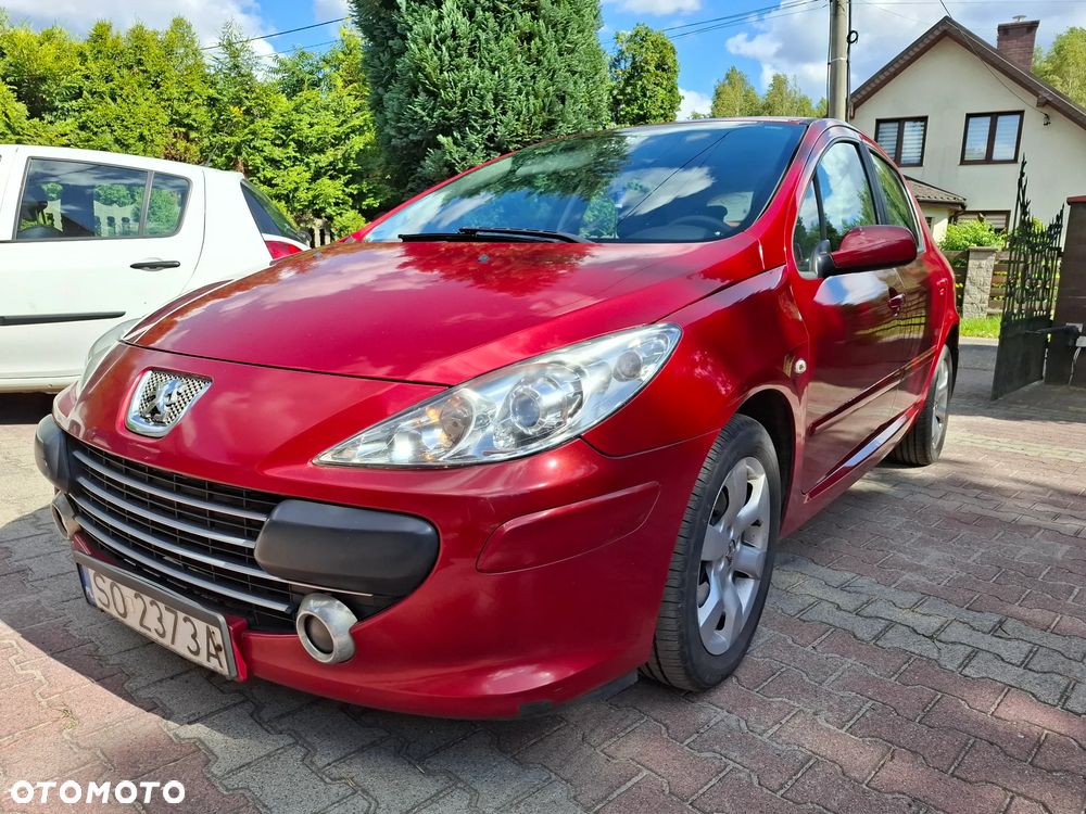 Peugeot 307 1.6 HDI Oxygo - 12