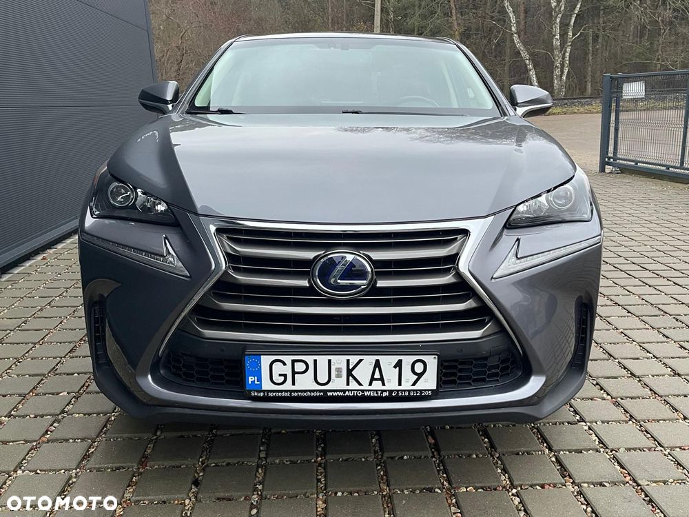 Lexus NX - 4