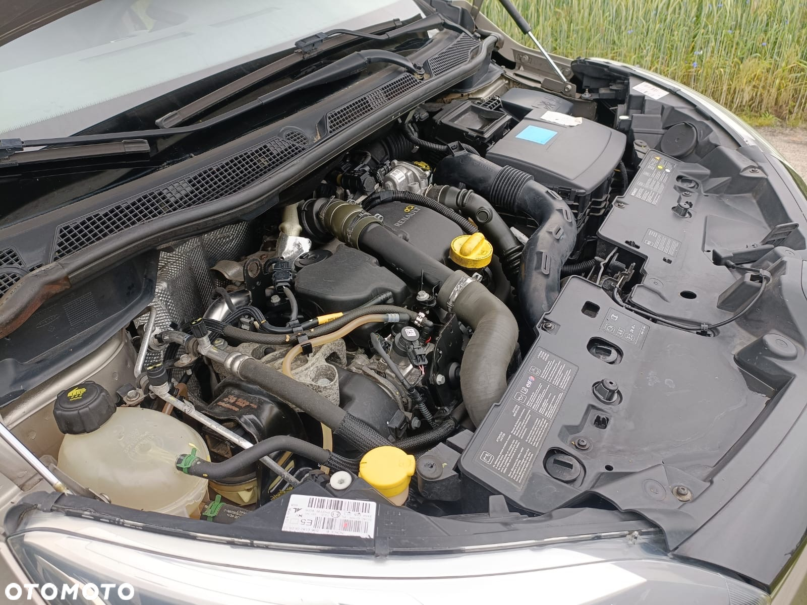 Renault Captur (ENERGY) dCi 90 LIMITED - 13