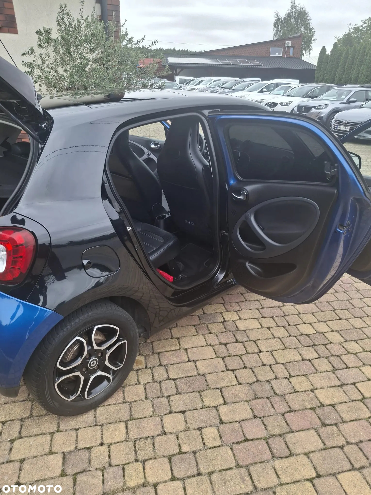 Smart Forfour prime - 13