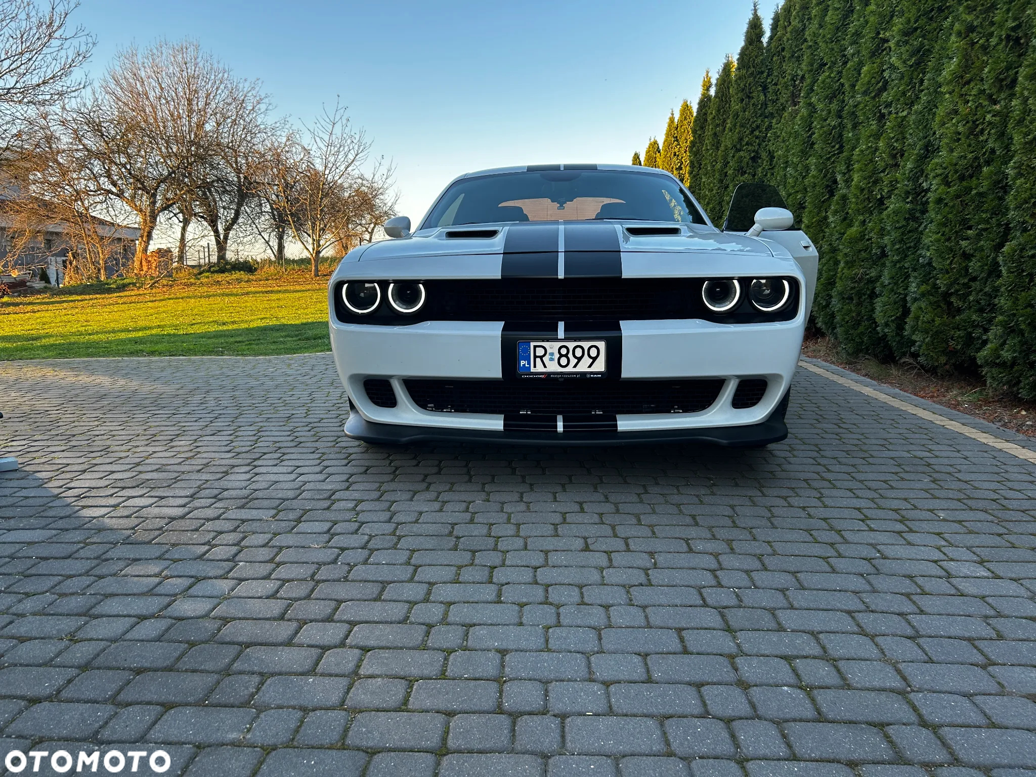 Dodge Challenger Automatik R/T Plus - 15
