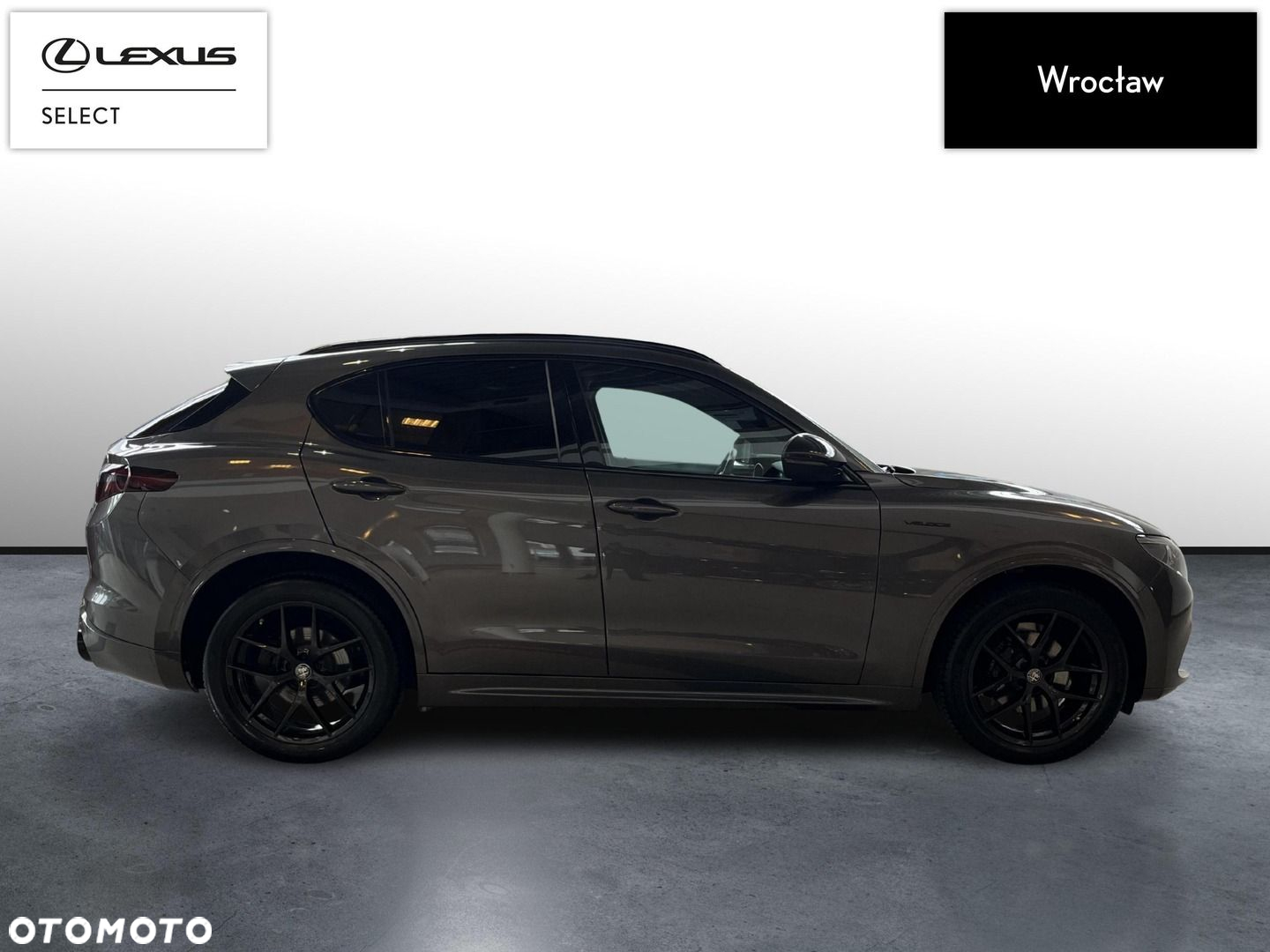 Alfa Romeo Stelvio - 6