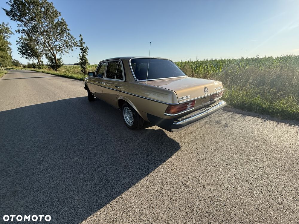 Mercedes-Benz W123 - 4