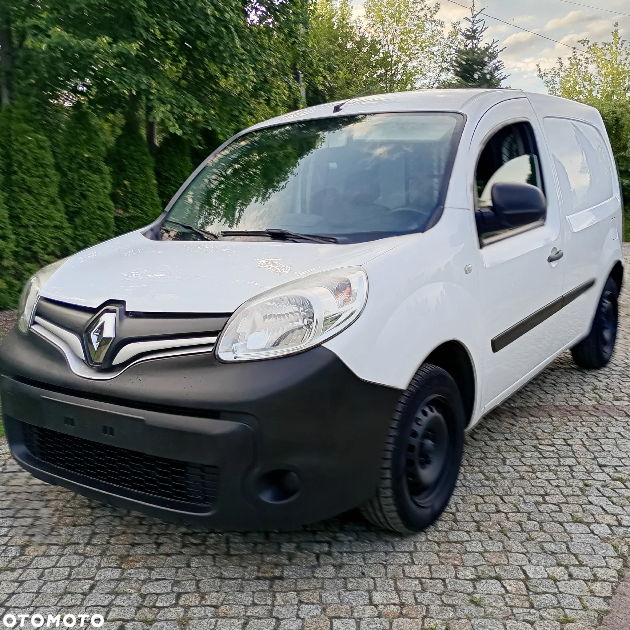 Renault Kangoo - 19