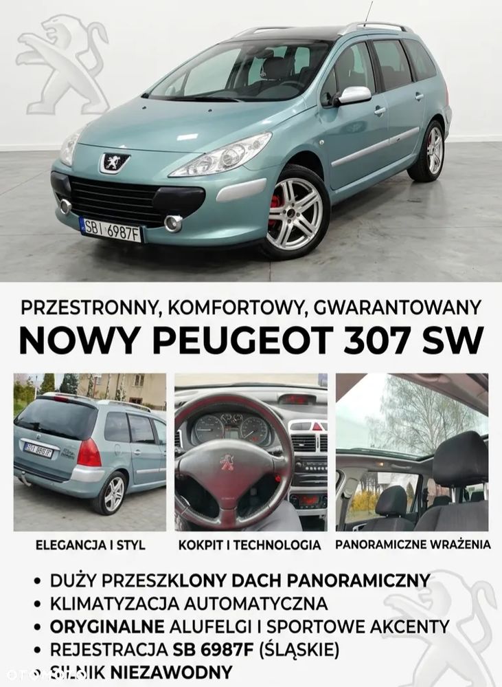 Peugeot 307 HDi SW 110 - 10