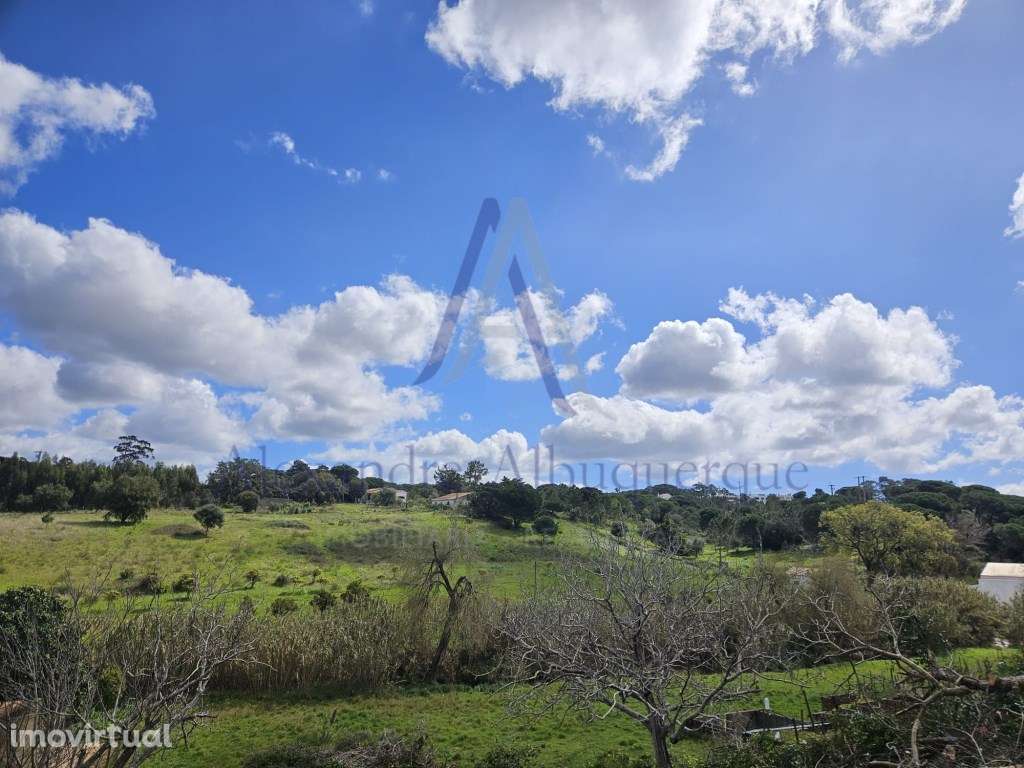 Dois Lotes de Terreno Agrícolas com vista Impar - Grande imagem: 5/5
