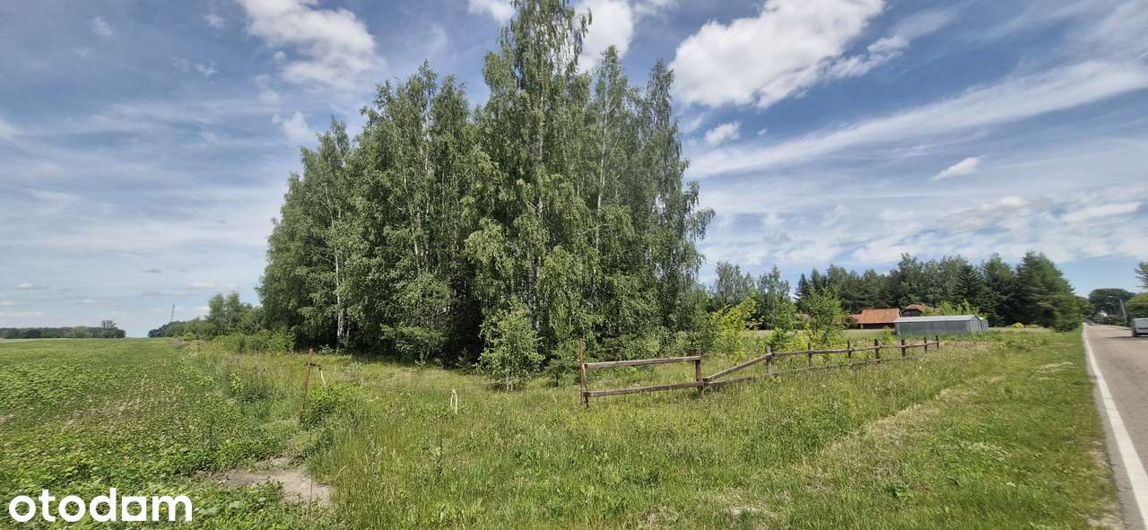 Działka budowlana 1,82 ha warunki zabudowy - 11 budynków mieszkalnych - Pełny obrazek: 2/4
