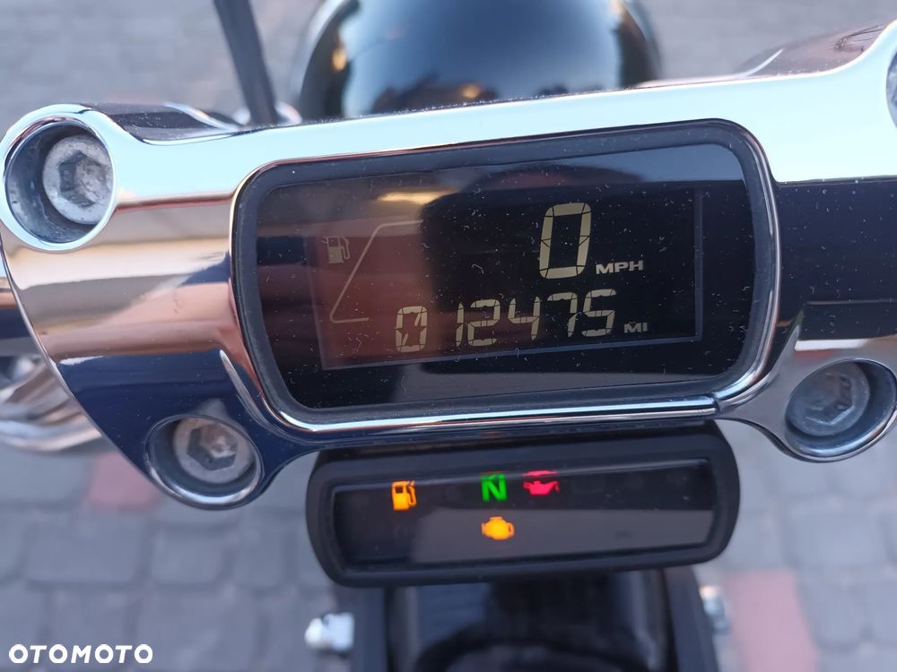 Harley-Davidson Softail Standard - 11