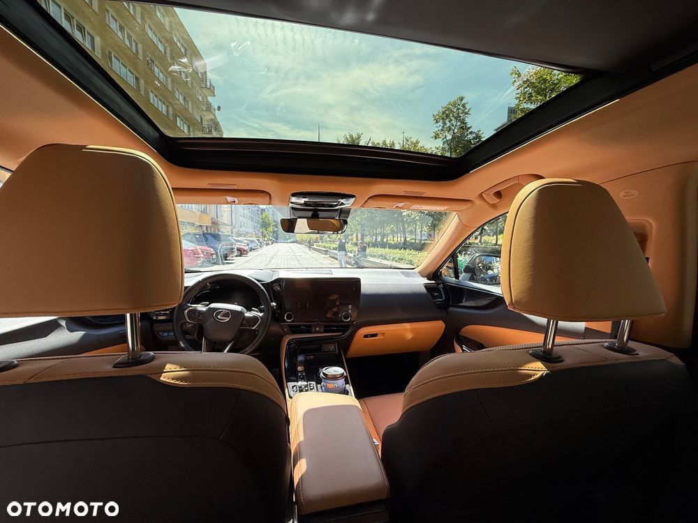Lexus NX - 8