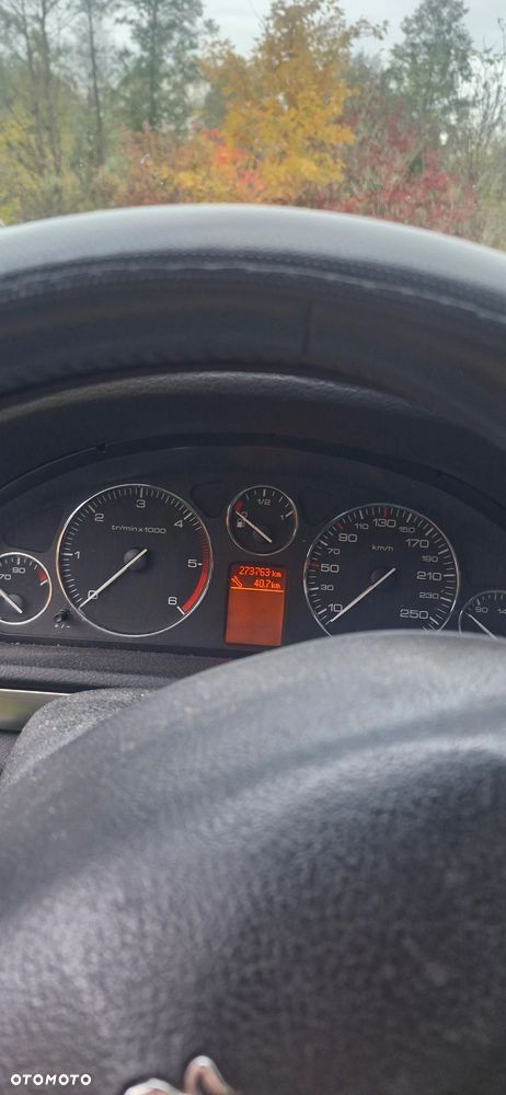 Peugeot 407 2010 photo 3