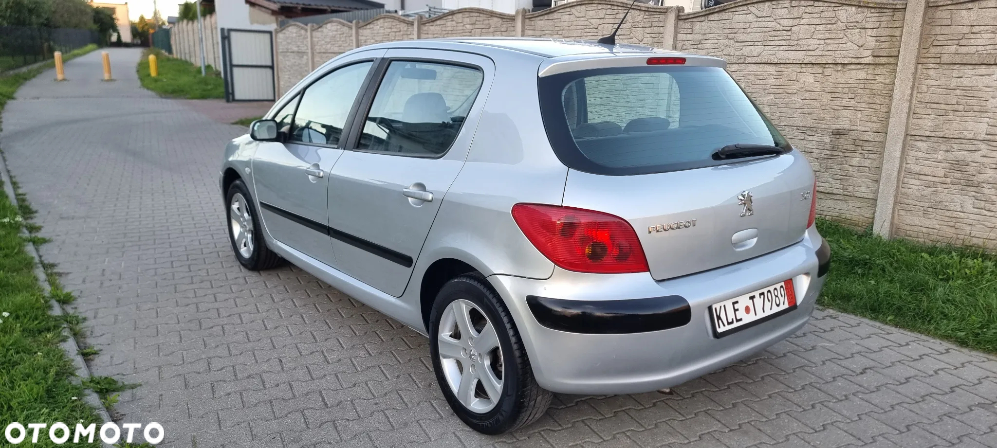 Peugeot 307 - 8