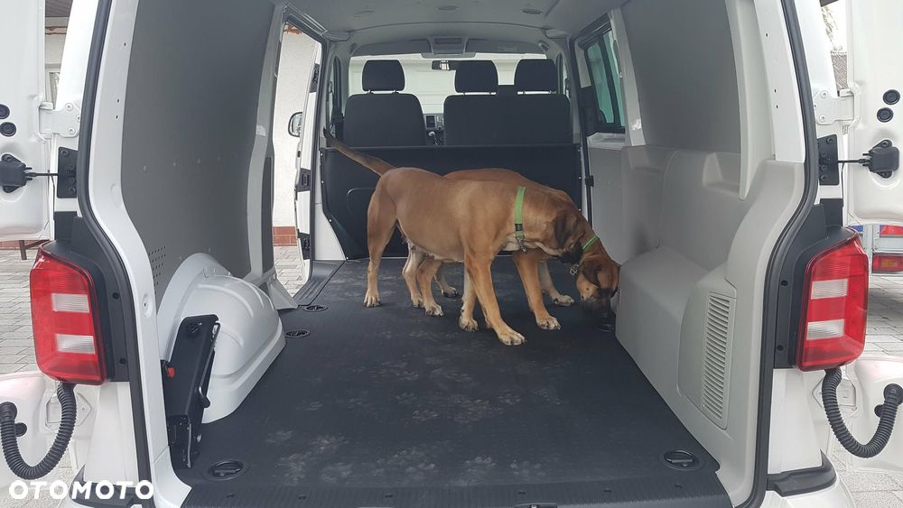 Volkswagen Transporter T6 - 13