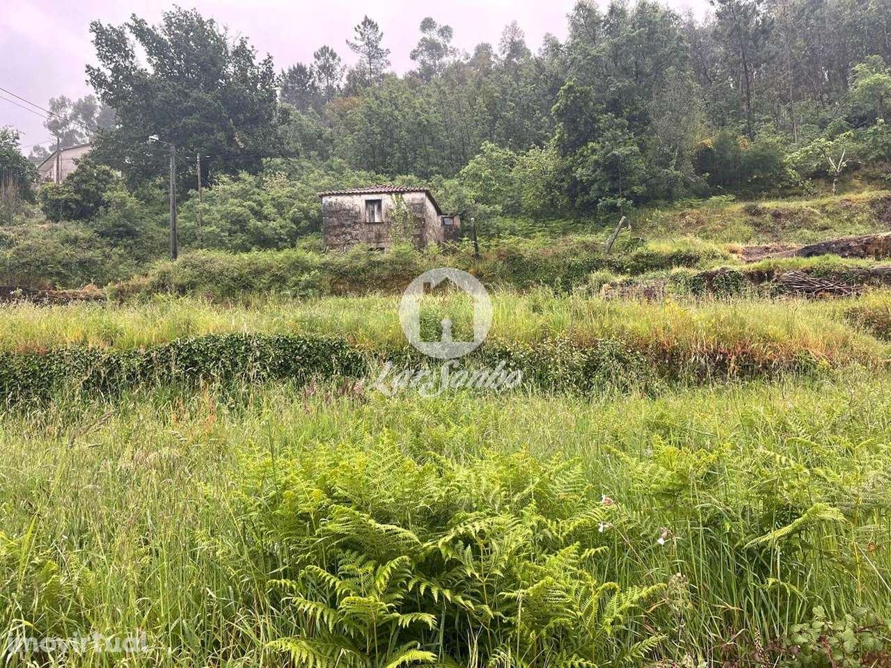 Terreno rústico de 9.000m2 em Aborim, Barcelos - Grande imagem: 2/8