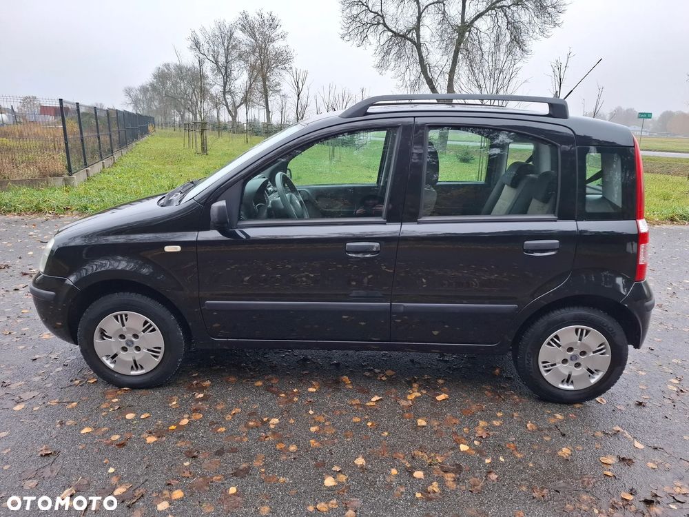 Fiat Panda 1.2 Dynamic - 3