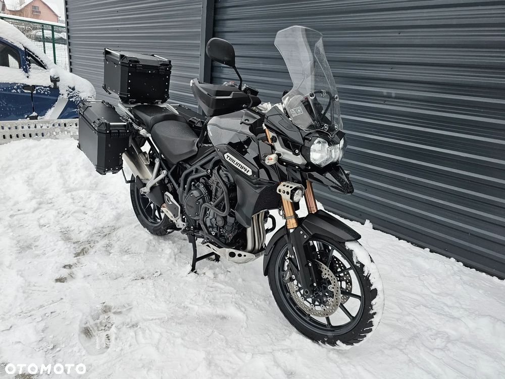 Triumph Tiger - 4