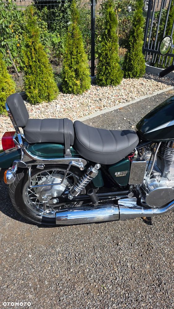 Suzuki Savage - 15