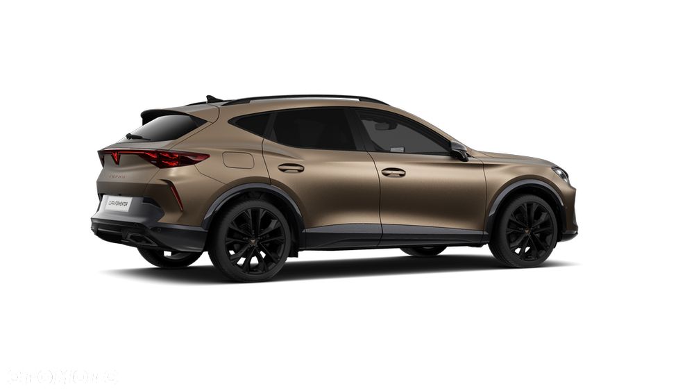 Cupra Formentor 2.0 TSI 4Drive DSG - 4