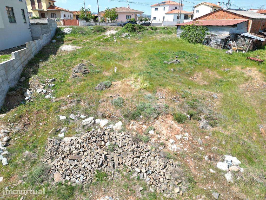 Terreno em São Pedro de Sarracenos – Bragança - Grande imagem: 4/8