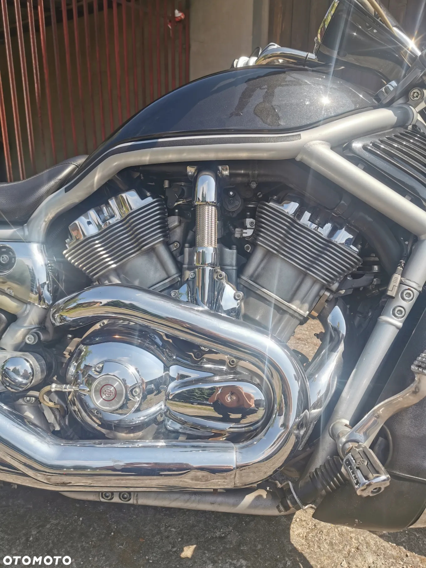Harley-Davidson V-Rod Street Rod - 6